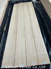 Largo 300 cm Panel de carilla de madera de roble rojo de quercus Grado AAA espesor 0,5 mm