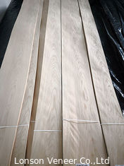 El plano de la chapa de madera de roble blanco del quercus cortó la humedad de la longitud el 8% de los 245cm