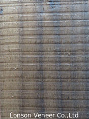El eucalipto Fumed versión preliminar chapea la madera natural laminada 0.5m m