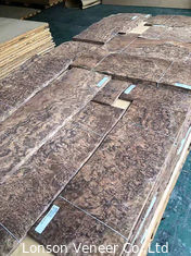 Nivel de madera exótico de la nuez A de los E.E.U.U. de la chapa de la teca de la corona de la chapa 0.45m m del MDF