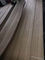 El corte de madera impermeable dirigido de la sierra de la longitud los 245cm de la chapa chapea un grado B